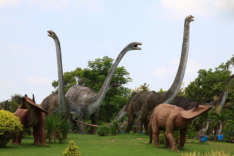 กาฬสินธุ์ กาฬสินธุ์