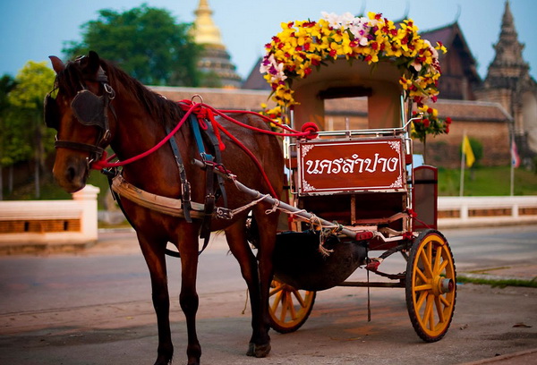 ลำปาง ลำปาง