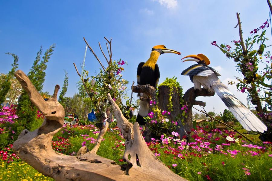 ชัยนาท ชัยนาท